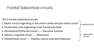 Frontal Subcortical circuits
The 5 frontal-subcortical circuits
1. Motor circuit originating in the motor cortex and pre-motor cortex
2. Oculomotor unit originating in the frontal eye fields
3. Dorsolateral Prefrontal circuit------ Executive function
4. Anterior cingulate circuit------Motivation
5. Orbitofrontal circuit ---- Impulse control and social behavior.
MOTOR CORTEX
PREFRONTAL
CORTEX
 