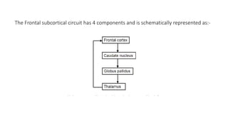 The Frontal subcortical circuit has 4 components and is schematically represented as:-
 