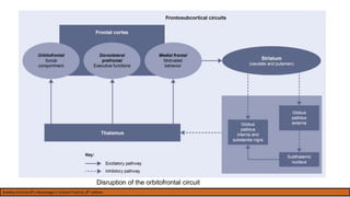 Disruption of the orbitofrontal circuit
Bradley and Daroff’s Neurology in Clinical Practice, 8th edition
 