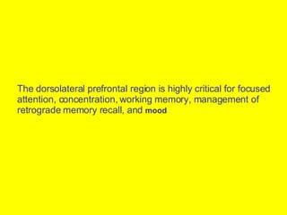 The dorsolateral prefrontal region is highly critical for focused attention, concentration, working memory, management of retrograde memory recall, and  mood  