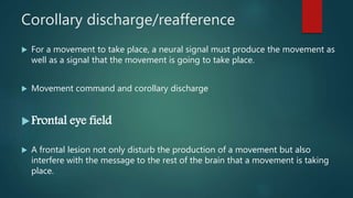 Reafference Frontal lobe syndromes | PPTX