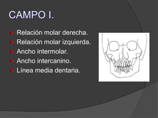 CAMPO I.Relación molar derecha.Relación molar izquierda.Ancho intermolar.Ancho intercanino.Línea media dentaria.
