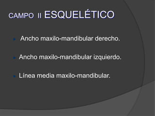 CAMPO  II ESQUELÉTICO Ancho maxilo-mandibular derecho.Ancho maxilo-mandibular izquierdo.Línea media maxilo-mandibular.
