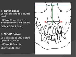 1.- ANCHO NASAL:                       Se mide el ancho de la cavidad nasal.NORMA: 25 mm a los 8 ½ , incrementando 0.7 mm por año.DESVIACION: 2.0 mm2.- ALTURA NASAL:Es la distancia de ENS al plano cigomático superior. NORMA: 44.5 mm 9 a.DESVIACIÓN:  3mmNLNR