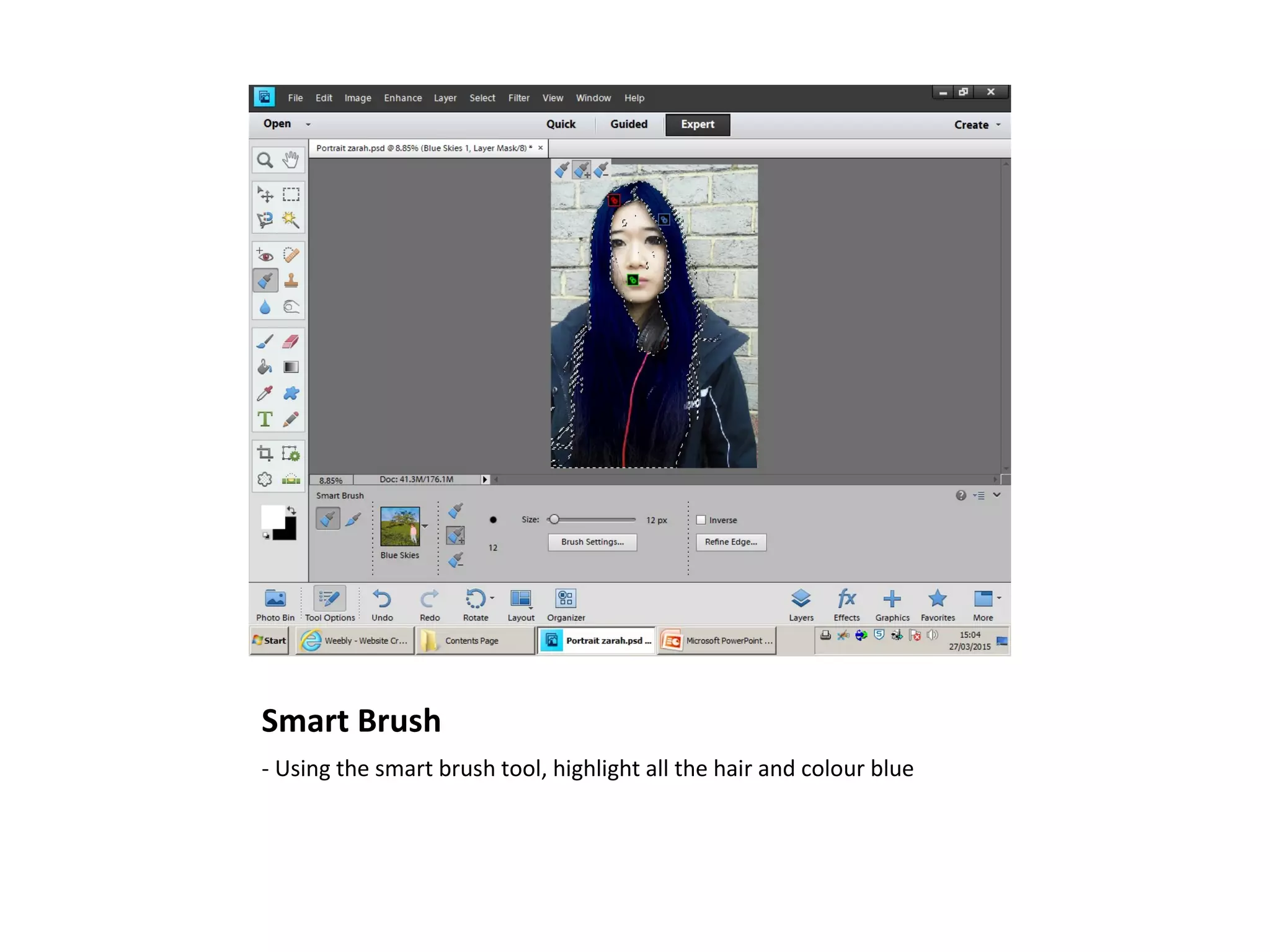 Smart Brush
- Using the smart brush tool, highlight all the hair and colour blue