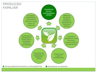 Melhores
sementes,
mudas e
subsídios à
aquisição de
pequenos
animais
Crédito para
custeio e
investimentos
Programa de
Aquisição de
Alimentos
(PAA)
Construção e
operação de
locais para o
armazena-
mento de
mercadorias
Assistência
técnica
individualizada
(ATER)
Aquisição,
manutenção e
operação de
barcos e outros
meios de
transporte
Serviço disponível somente na comunidade Polo. Atendimento em domicílio.
SP1
SP2
SP3
SP4
SP5
SP6
SP7
Subsídio à
adoção de novas
técnicas e
incorporação de
equipamentos
 