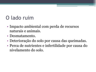 O lado ruim
• Impacto ambiental com perda de recursos
naturais e animais.
• Desmatamento.
• Deterioração do solo por causa das queimadas.
• Perca de nutrientes e infertilidade por causa do
nivelamento do solo.
 