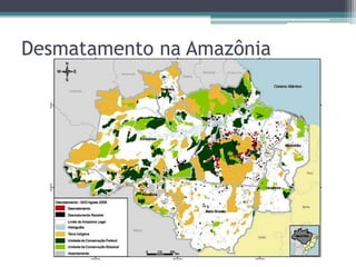 Desmatamento na Amazônia
 