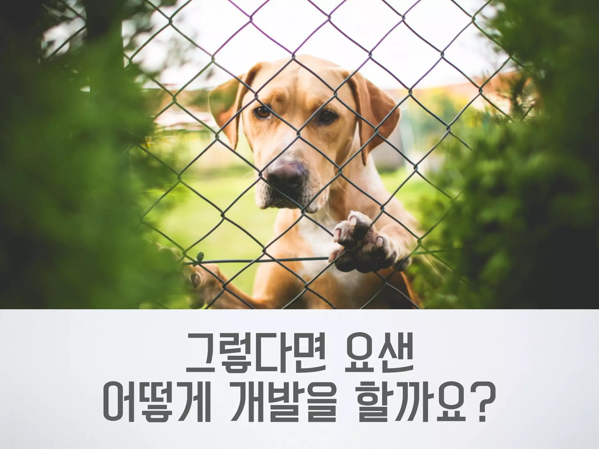 그렇다면 요샌  
어떻게 개발을 할까요?
 