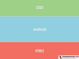 Front-end Development Training by Technnovation Labs