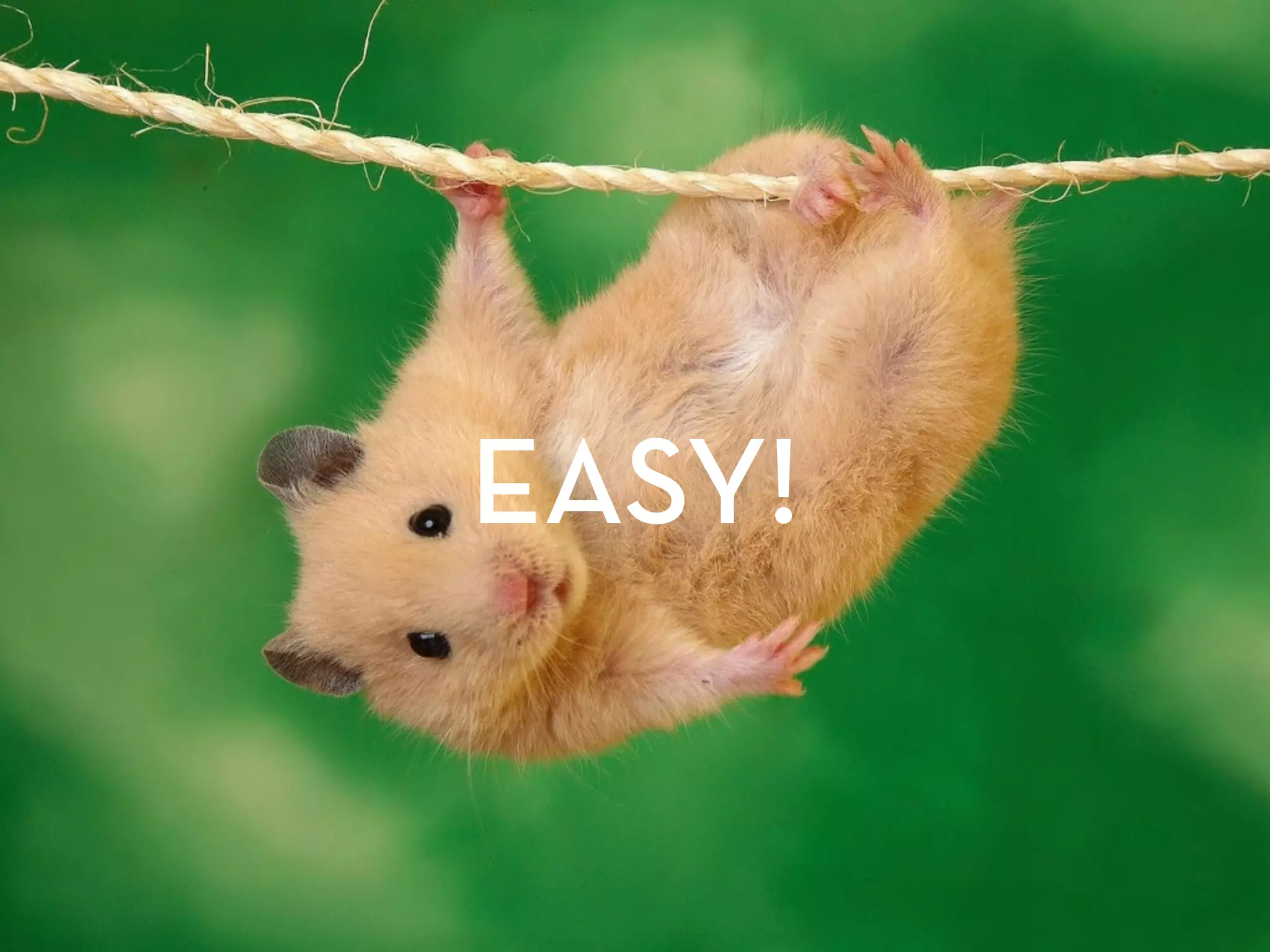 EASY!
 