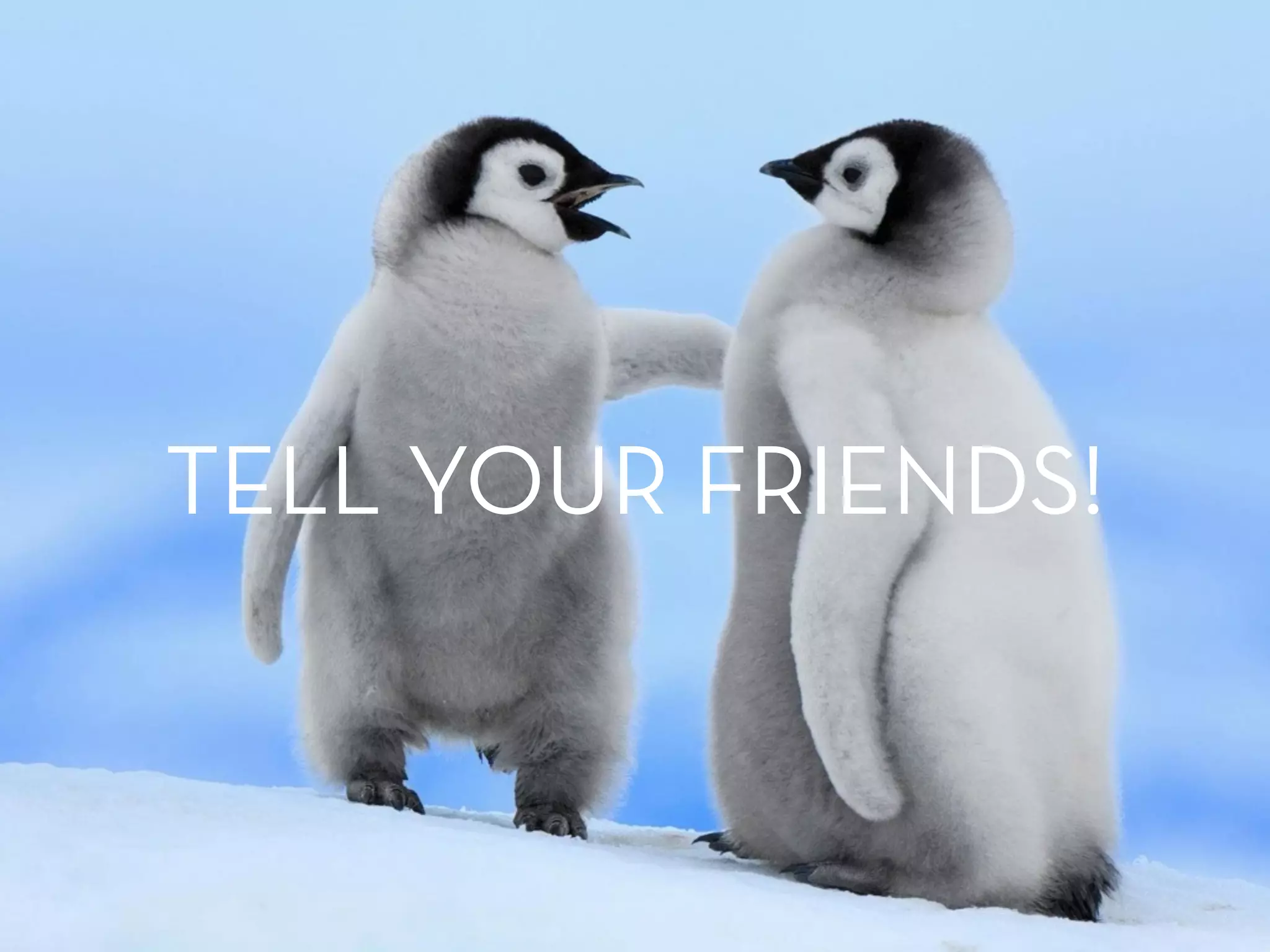 TELL YOUR FRIENDS!
 