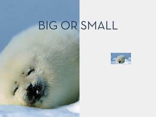 BIG OR SMALL
 