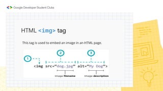 HTML <img> tag
This tag is used to embed an image in an HTML page.
 