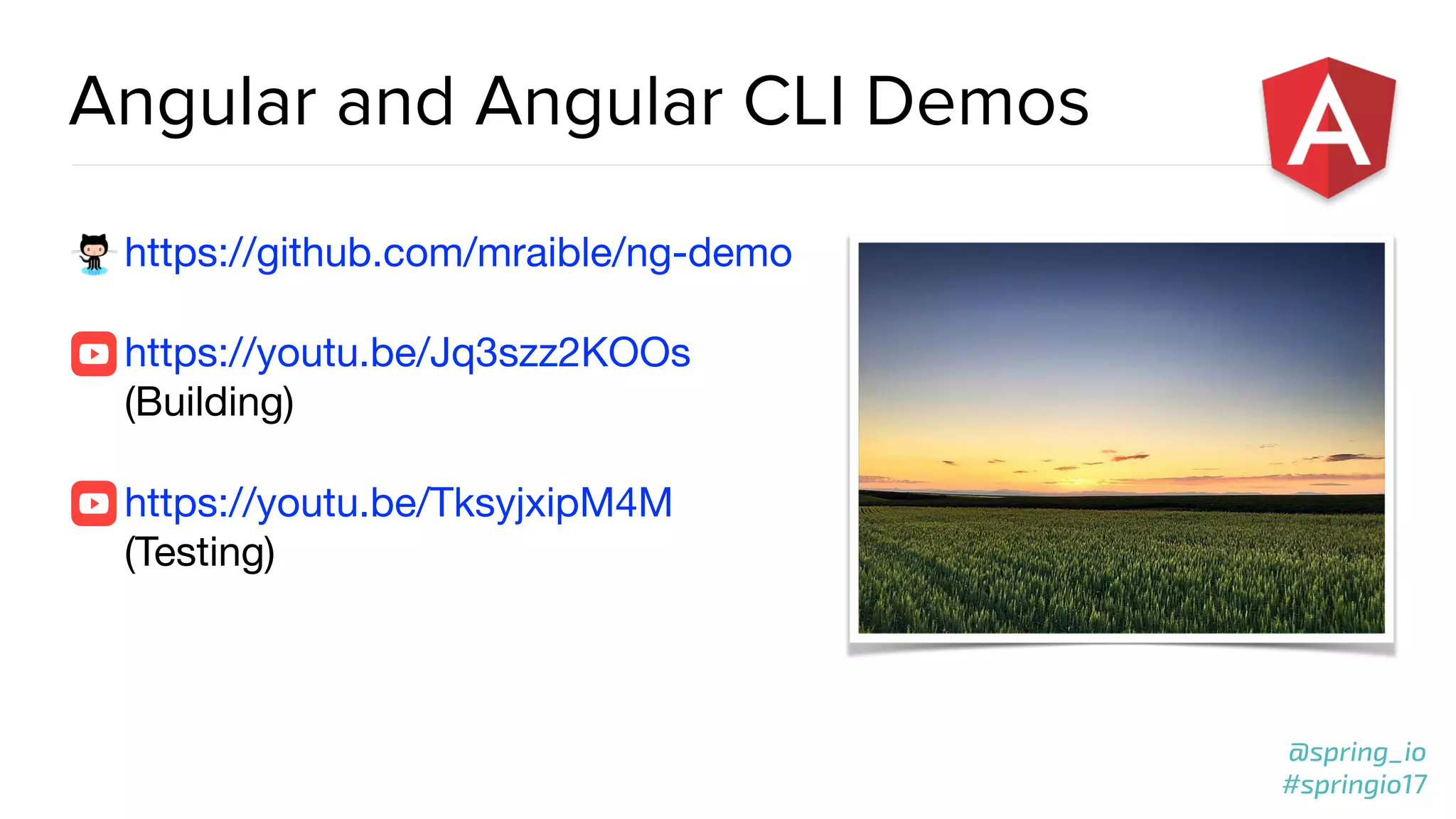 @spring_io
#springio17
Angular and Angular CLI Demos
https://github.com/mraible/ng-demo

https://youtu.be/Jq3szz2KOOs
(Building)

https://youtu.be/TksyjxipM4M
(Testing)
 