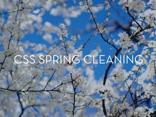 CSS SPRING CLEANING
 