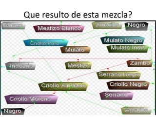 Que resulto de esta mezcla?
 