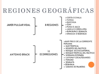 REGIONES GEOGRÁFICAS
COSTA O CHALA
YUNGA
QUECHUA
SUNI
PUNA O JALCA
JANCA O CORDILLERA
RUPA RUPA O SELVAALTA
OMAGUA O SELVA BAJA
ANTONIO BRACK
11
ECORREGIONES
JAVIER PULGARVIDAL 8 REGIONES
MAR FRIO O DE LA CORRIENTE
PERUANA
 MAR TROPICAL
 DESIERTO DEL PACÍFICO
 BOSQUE SECO ECUATORIAL
 BOSQUETROPICAL DEL PACÍFICO
 SERRANÍA ESTEPARÍA
 LA PUNAY LOSALTOSANDES
 PÁRAMO
 SELVAALTA
SELVA BAJA
 SABANA DE PALMERAS
 