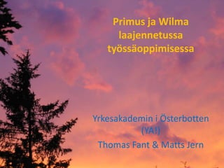 Primus ja Wilmalaajennetussa työssäoppimisessa Yrkesakademin i Österbotten (YA!) Thomas Fant & Matts Jern 