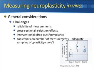 Frontiers_Measuring_plasticity_with_MRI_in_humans1.ppt