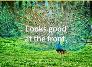 Looks good
at the front.
 