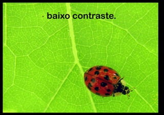 baixo contraste.
 