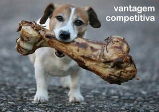 vantagem
                                     competitiva




Mulher com notebook em sinal de ok
 