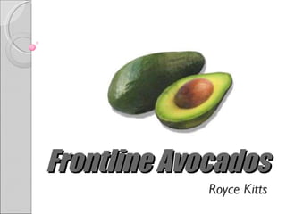 Frontline Avocados Royce Kitts 