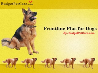 Frontline Plus for Dogs
By- BudgetPetCare.com

 