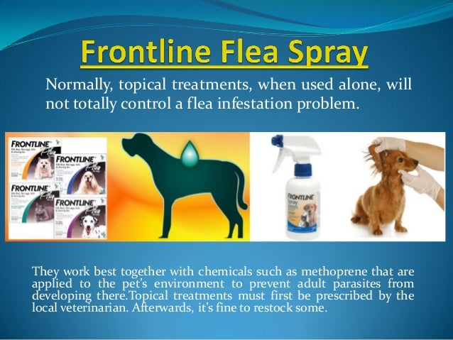 frontline plus coupons