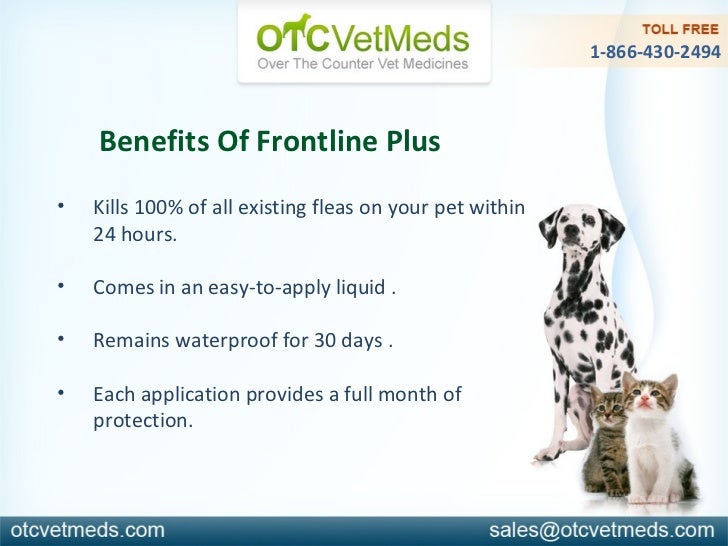 Frontline plus for dogs 45 88 pounds frontline plus for dogs 45 88 pounds