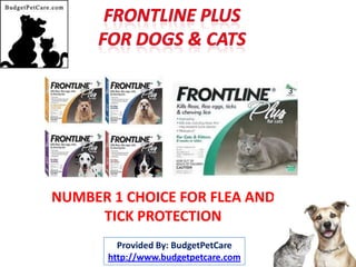 NUMBER 1 CHOICE FOR FLEA AND
     TICK PROTECTION
         Provided By: BudgetPetCare
       http://www.budgetpetcare.com
 