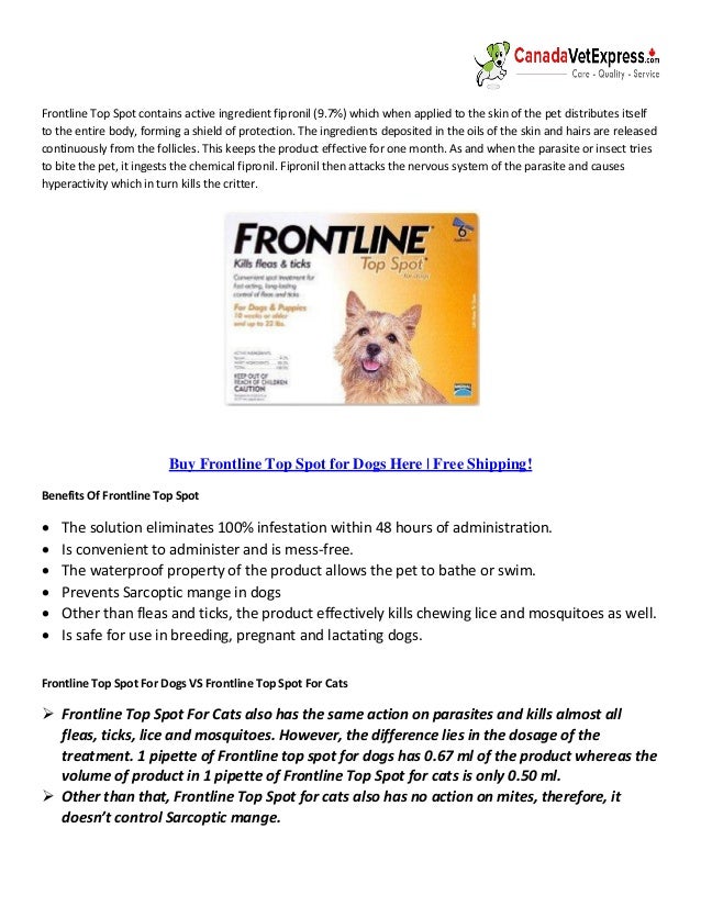 frontline top spot vs frontline plus