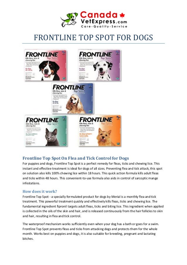 frontline top spot
