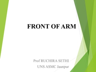 FRONT OF ARM
Prof RUCHIRA SETHI
UNS ASMC Jaunpur
 