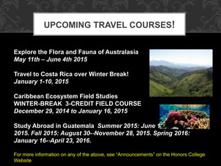 UPCOMING TRAVEL COURSES! 
Explore the Flora and Fauna of Australasia 
May 11th – June 4th 2015 
Travel to Costa Rica over Winter Break! 
January 1-10, 2015 
Caribbean Ecosystem Field Studies 
WINTER-BREAK 3-CREDIT FIELD COURSE 
December 29, 2014 to January 16, 2015 
Study Abroad in Guatemala Summer 2015: June 14-‐August 7, 
2015. Fall 2015: August 30-‐November 28, 2015. Spring 2016: 
January 16-‐April 23, 2016. 
For more information on any of the above, see “Announcements” on the Honors College 
Website 
 