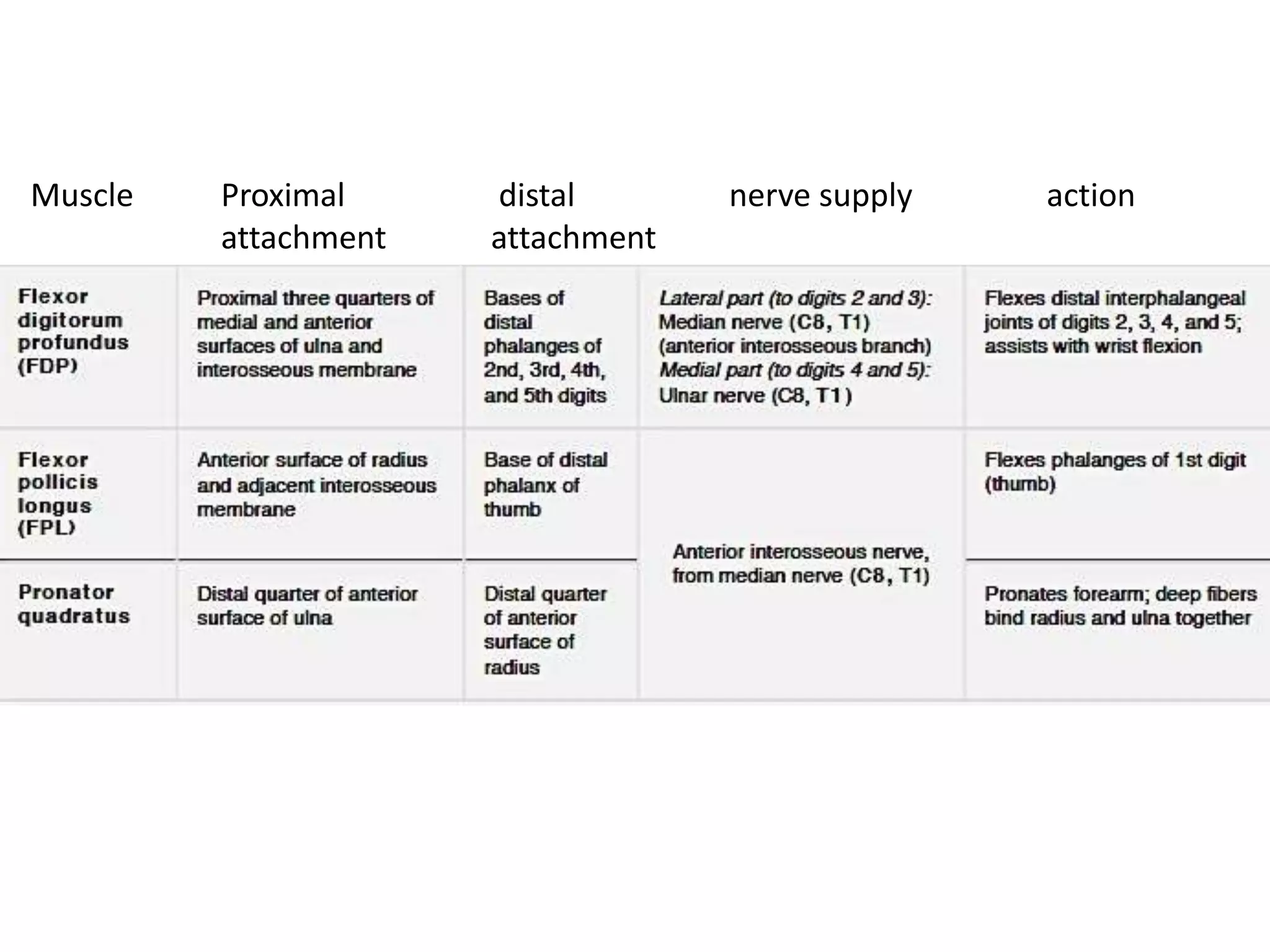 Muscle Proximal distal nerve supply action
attachment attachment