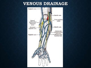VENOUS DRAINAGE
 