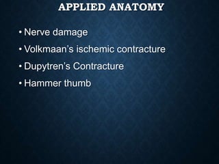 APPLIED ANATOMY
• Nerve damage
• Volkmaan’s ischemic contracture
• Dupytren’s Contracture
• Hammer thumb
 