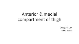 Anterior & medial
compartment of thigh
Dr Rajiv Ranjan
RIMS, Ranchi
 