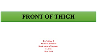 FRONT OF THIGH
Dr. Anitha. B
Assistant professor
Department of Anatomy
SLIMS
30.01.2023
 