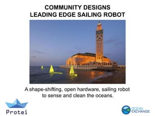 COMMUNITY DESIGNS
LEADING EDGE SAILING ROBOT
A shape-shifting, open hardware, sailing robot
to sense and clean the oceans.
 