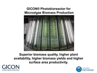 GICON® Photobioreactor for
Microalgae Biomass Production
Superior biomass quality, higher plant
availability, higher biomass yields and higher
surface area productivity.
 