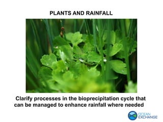 PLANTS AND RAINFALL
Clarify processes in the bioprecipitation cycle that
can be managed to enhance rainfall where needed
 