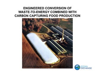 ENGINEERED CONVERSION OF
WASTE-TO-ENERGY COMBINED WITH
CARBON CAPTURING FOOD PRODUCTION
 