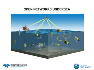 OPEN NETWORKS UNDERSEA
 
