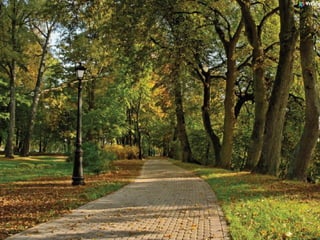 Front park Residences - Campo Grande