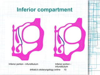 Radiological anatomy of frontal sinus | PPT