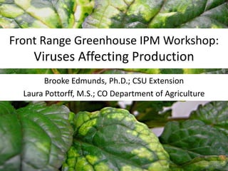 Front Range Greenhouse IPM Workshop:Viruses Affecting Production Brooke Edmunds, Ph.D.; CSU Extension Laura Pottorff, M.S.; CO Department of Agriculture 