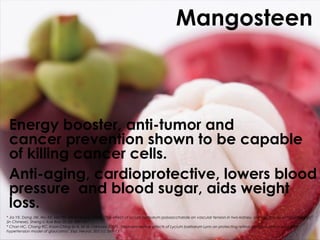 Mangosteen



 Energy booster, anti-tumor and
 cancer prevention shown to be capable
 of killing cancer cells.
 Anti-aging, cardioprotective, lowers blood
 pressure and blood sugar, aids weight
 loss.
* Jia YX, Dong JW, Wu XX, Ma TM, Shi AY (June 1998). "[The effect of lycium barbarum polysaccharide on vascular tension in two-kidney, one clip model of hypertension]"
(in Chinese). Sheng Li Xue Bao 50 (3): 309–14.
* Chan HC, Chang RC, Koon-Ching Ip A, et al. (January 2007). "Neuroprotective effects of Lycium barbarum Lynn on protecting retinal ganglion cells in an ocular
hypertension model of glaucoma". Exp. Neurol. 203 (1): 269–73.
 